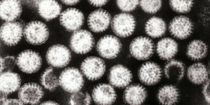 Rotavirus Vaccine Significantly Reduces Diarrhea Hospitalizations