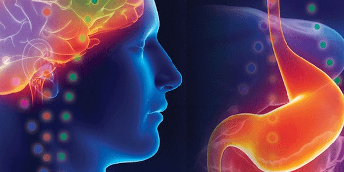 Could gut-brain connection reveal the core biology of autism?