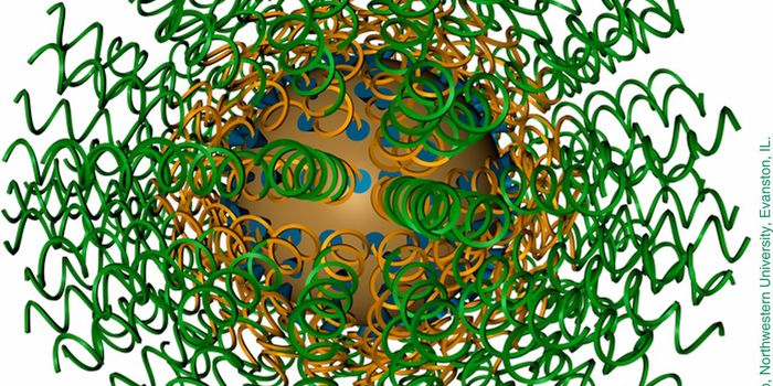 The Immune Systems Molecular Alphabet
