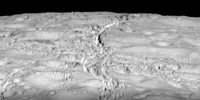 NASA's Cassini Spacecraft Sends Back Close-up Images of Enceladus' Surface