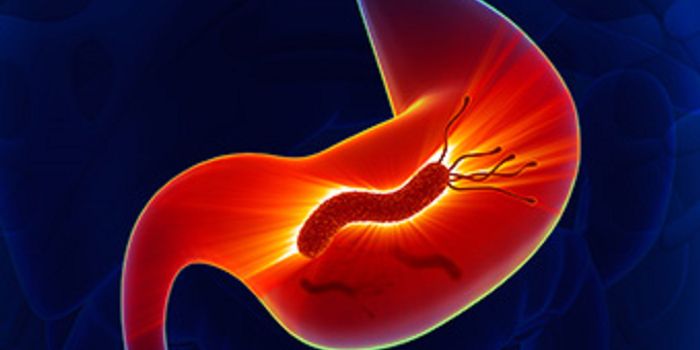 Evolutionary Event Causes Pathogenesis in Helicobacter pylori