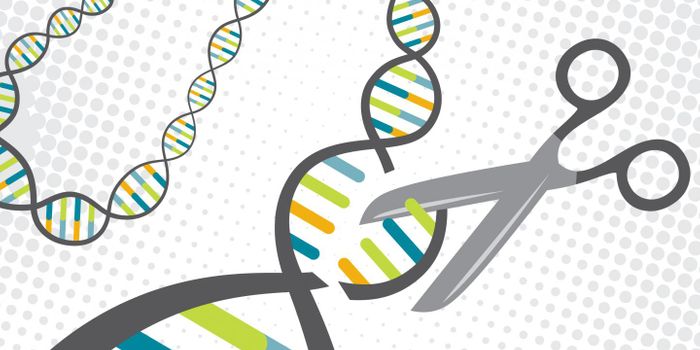 A More Precise Version of CRISPR/Cas9 is Created