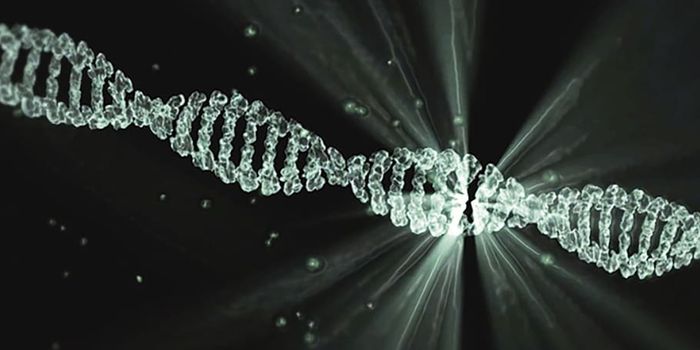 Revealing Genes That Escape X Chromosome Inactivation