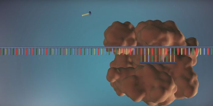 DNA Replication Discovery May Lead to New Cancer Treatments