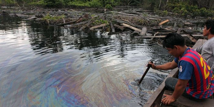 8,000 barrels of crude spills into Peru's Amazon