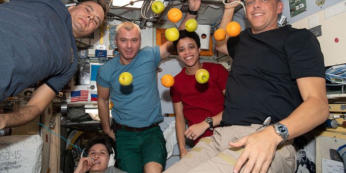 Temporal Organization of Human Gene Expression: Insights from Microgravity Simulation