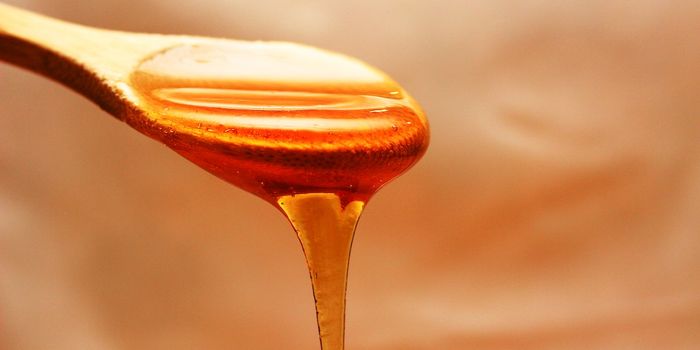 Honey Helps Improve Cardiometabolic Health