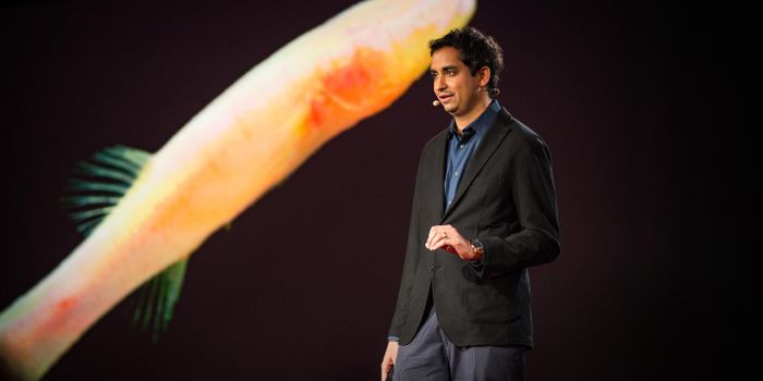 Clues to Prehistoric Times Found in Blind Cavefish