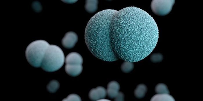 Severity of Bacterial Infection Linked to RNA Mutation