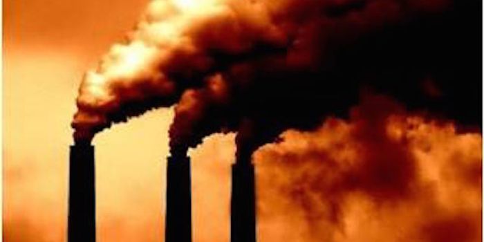 When It Comes To Taking On Greenhouse Gas Emissions, Carrots Beat Sticks