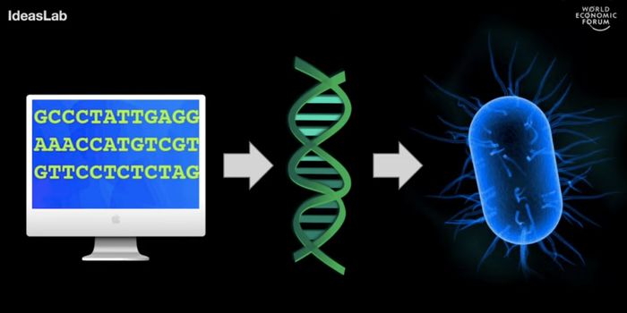 Engineering a Genome