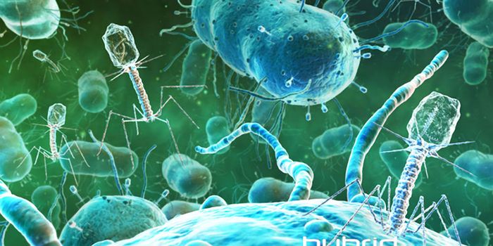 Viruses send chemical messages