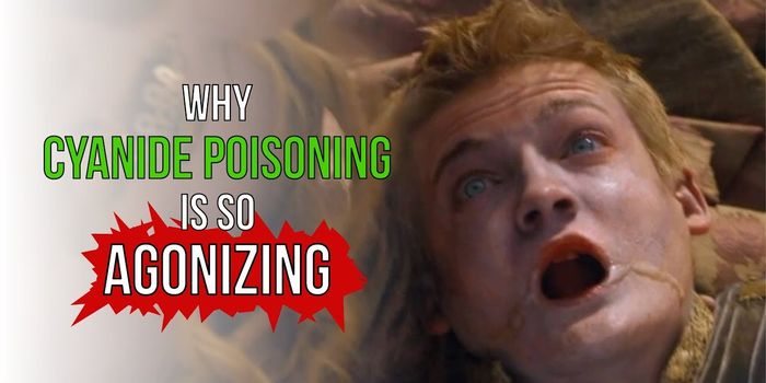 The Science Behind How Cyanide Kills You