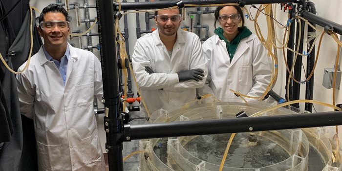 Researchers Suggest Letting Mild Fever Run Its Course and Postponing Medications