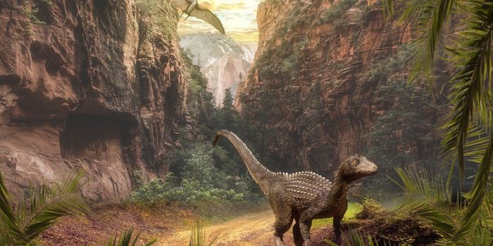 Dinosaur Tracks Show That Alaska was Once a Warm, Rainy Place