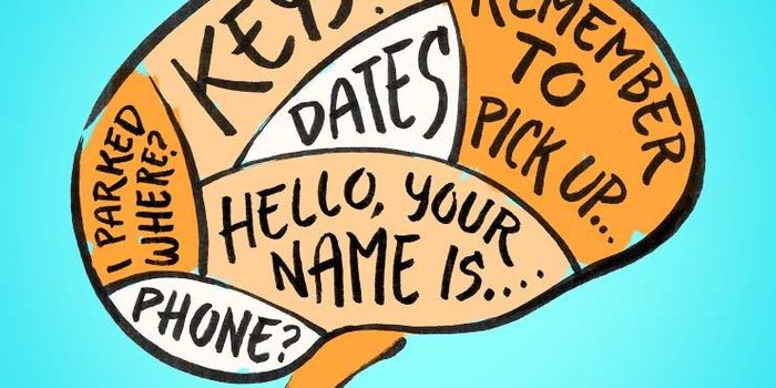 Most Rewarding Experiences Take The Top Spot In Memory