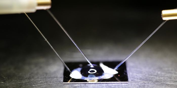 Biosensor Chip Flawlessly Detects Genetic Mutations