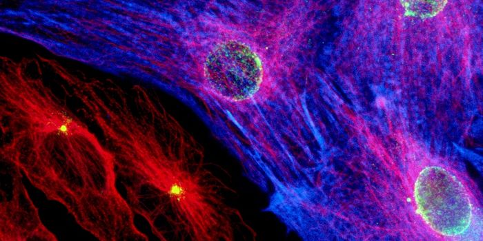 Light Stimulation on Cardiac Cells To Detect Arrhythmia