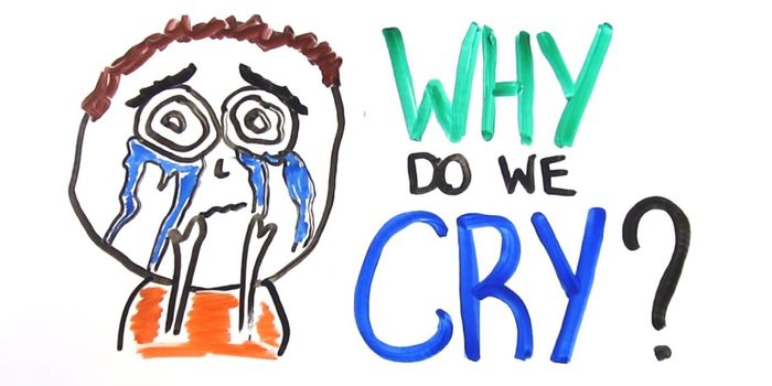 Wah wah wah, why do we cry?