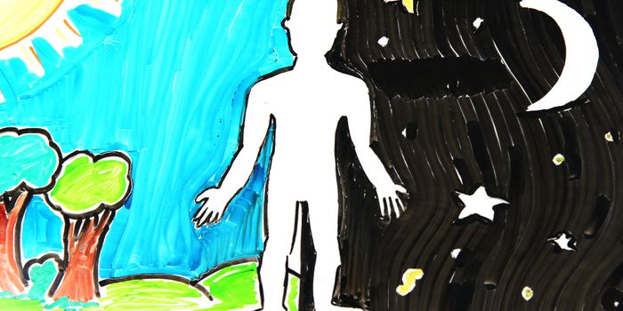 Here's What Your Body Does While You Go About Your Daily Routine