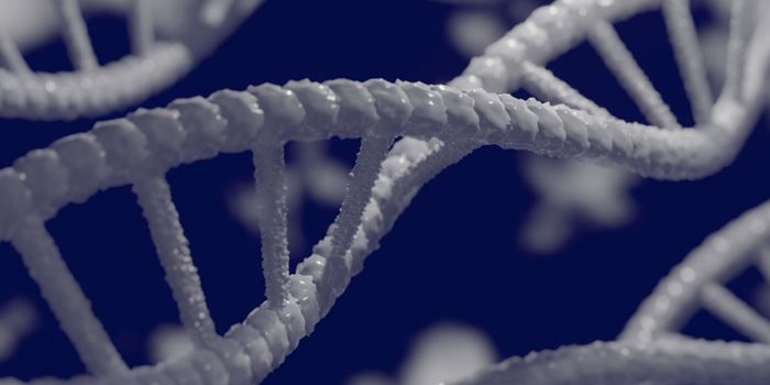 CRISPR Cockroaches? Gene-Editing in Insects is Now Possible