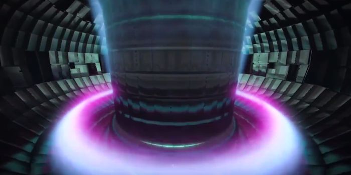 When Will Humankind Make the Switch to Fusion Power?