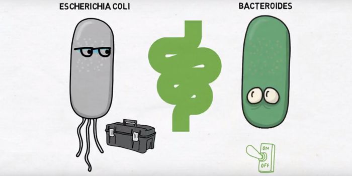 Modulating Gene Expression in the Microbiome