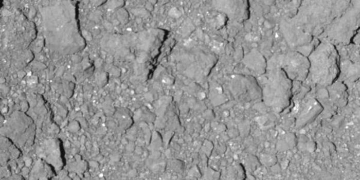 Hayabusa2 Scientists Prepare to Collect Asteroid Samples and Return Them to Earth