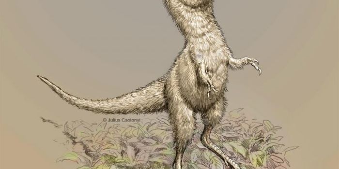 Even the Tyrannosaur Started Life as a Baby