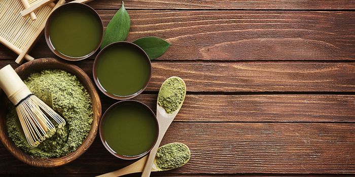 Green Tea Polyphenol Prevents Artery Rupture