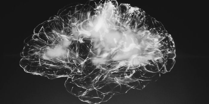 CBD Alleviates Angelman Syndrome Seizures in Mice Trial