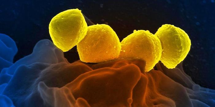 New Strain of Strep Linked to Rise in Infections