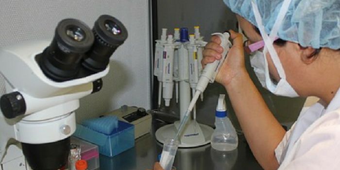 A Harbinger of Hope for Alzheimer's Patients?