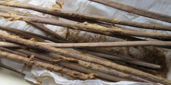 Infectious Disease in the Ancient World: Parasites on the Silk Road