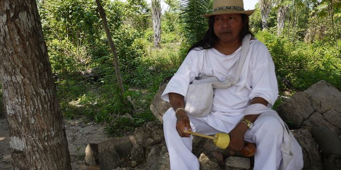 Northern Colombia's Indigenous Peoples' Lead Anti-Deforestation Conservation
