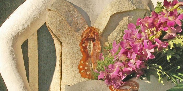 Mushroom made: a new twist on clothing