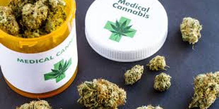 Understanding "Recommendation" vs. "Prescription" of Medical Marijuana