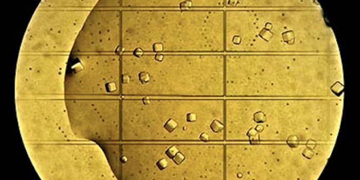 Hit The Sweet Spot - MIT's Image Awards