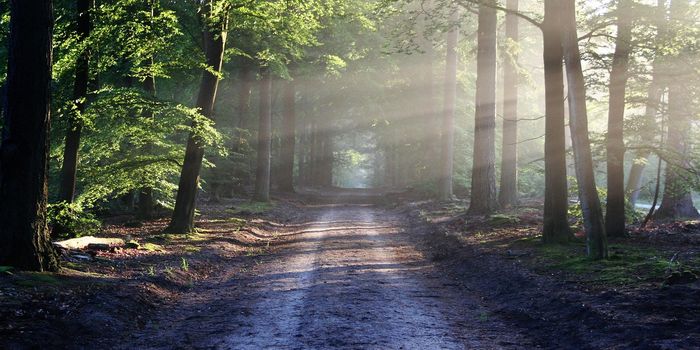 Young People Find Solitude and Self-Expression in Nature