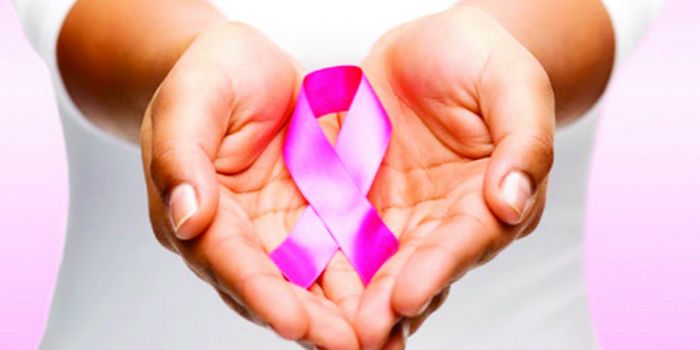 Early Breast Cancer Patients Do Not Gain Response Advantage with Chemotherapy