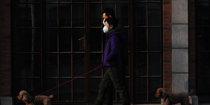 Long COVID: New Hypothesis about the Cause Raises Questions for Science Community