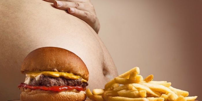 How Belly Fat Increases Risk for Cancer