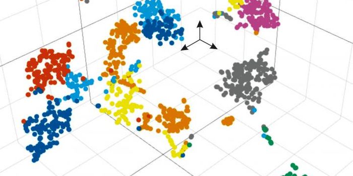 Which individual cells are to blame for atherosclerosis?