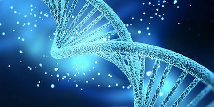 Amazing Images Reveal a Fundamental Process of Life