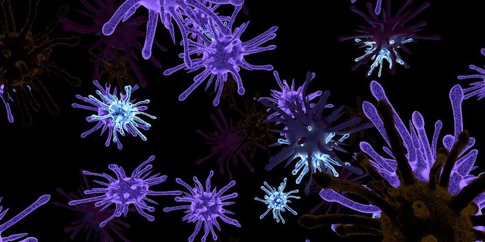 A New Human Virus is Identified