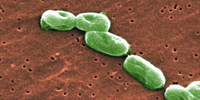 FDA Warns About Contaminated Supplements