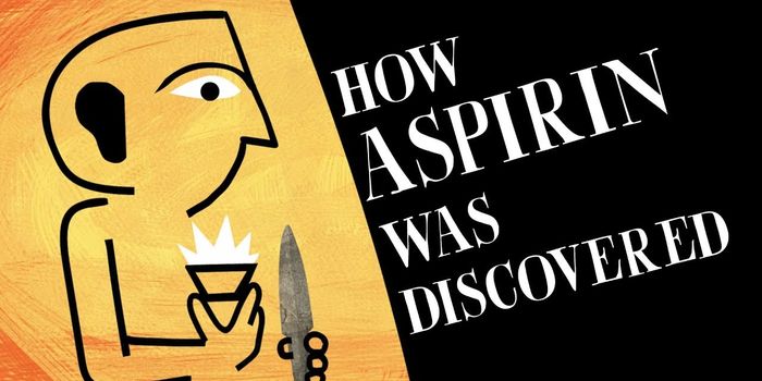 Where Does Aspirin Come From?