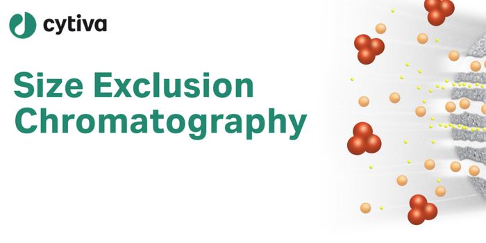 Advanced Techniques in Size Exclusion Chromatography