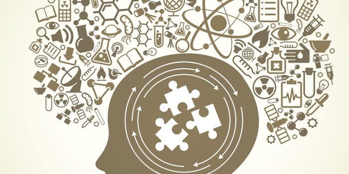 The Schizophrenic Brain