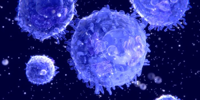 Immune Cell Transforms from 'Clark Kent' to 'Superman'